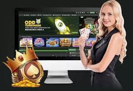q988game Crash Games